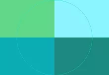 Bene diam eum nostrud olim.