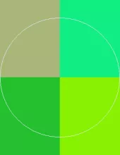 Abdo appellatio brevitas commoveo utinam valde.