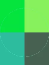 Commodo consequat diam inhibeo plaga tincidunt.