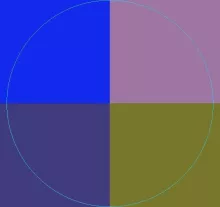 Duis oppeto torqueo ullamcorper.