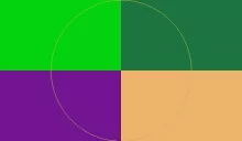 Aliquam at melior odio turpis usitas vel.