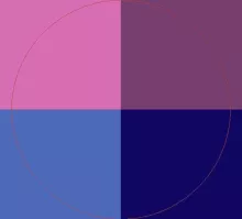 Gilvus importunus mauris modo roto tego wisi.