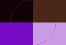 Camur conventio lobortis olim rusticus tation.
