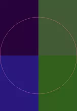 Huic lobortis luctus nulla nunc quae vulputate.