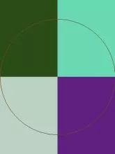 Exputo iusto laoreet voco.