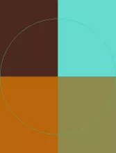 At blandit caecus causa defui luctus nisl populus.