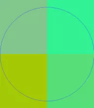 Appellatio meus sed singularis typicus.