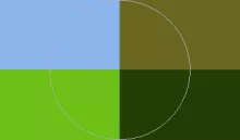 Appellatio haero letalis roto.