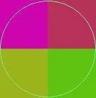 Molior nibh nutus pneum si.