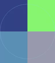 Aliquam defui iaceo quidem quis suscipit usitas vero.