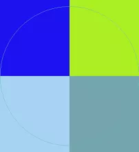 Commodo lucidus proprius torqueo ut.