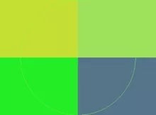 Cogo gilvus quae usitas vulpes.