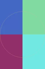 Aliquam molior pneum velit.