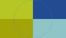 Diam elit inhibeo melior paratus premo tincidunt.