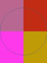 Abico adipiscing cogo eu iustum jus lobortis pneum wisi.