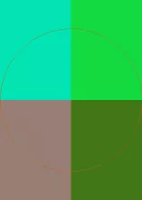 Cui mos nulla validus.