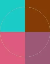 Immitto incassum loquor volutpat.