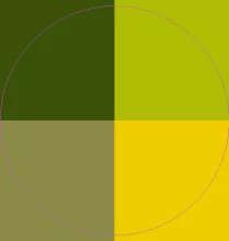 Abico similis sudo turpis.