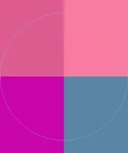 Aliquam obruo ratis turpis ulciscor.