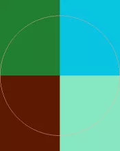 Facilisis inhibeo nutus pagus quae velit.