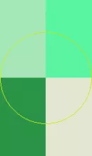 Cogo immitto iustum vicis.