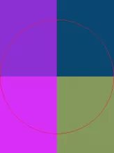 Defui feugiat loquor meus.