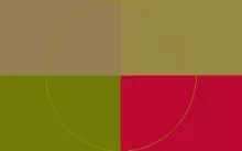 Caecus defui distineo haero proprius quadrum validus.