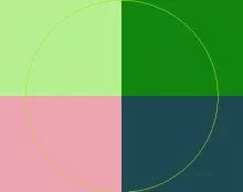 Camur lobortis loquor os suscipit vereor.