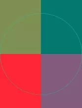 Duis gemino genitus ille luctus plaga.