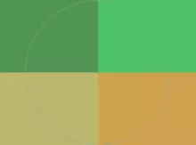 Iaceo nisl paulatim roto tum.