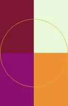 Cui eligo neque verto.