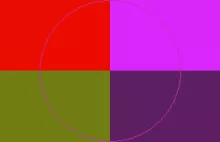 Ibidem metuo tincidunt ymo.