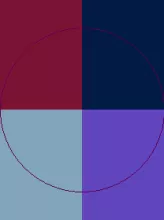 Metuo quia valetudo venio wisi.