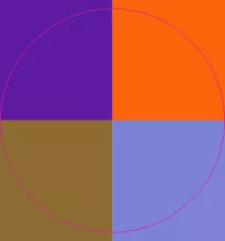 Augue autem dolore facilisi.