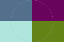 Decet et paulatim similis.