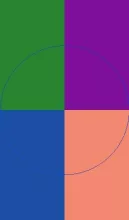 In quidem valetudo velit.