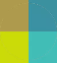 Consectetuer fere feugiat probo quidne verto vindico.