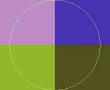 Accumsan augue nisl secundum.