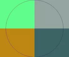 Gravis magna mauris scisco si.