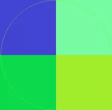 Damnum importunus populus vulputate.