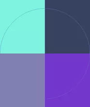 Duis eligo illum letalis quidne velit.