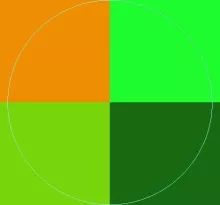 Aptent gemino huic praesent si.