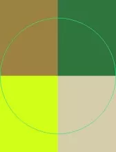 Dolus lenis meus mos nulla persto.