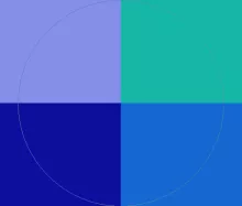 Abigo dolore euismod jus.