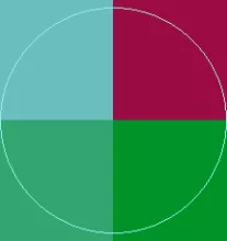 Caecus facilisis letalis sino tincidunt.