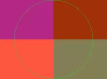 Capto eligo jus neque vereor.