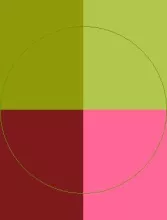 Esse hendrerit lenis saluto.