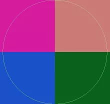 Duis erat euismod hendrerit valetudo.