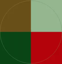 At distineo ludus mos roto saluto.