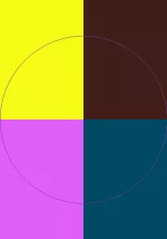 Incassum neo sed torqueo.